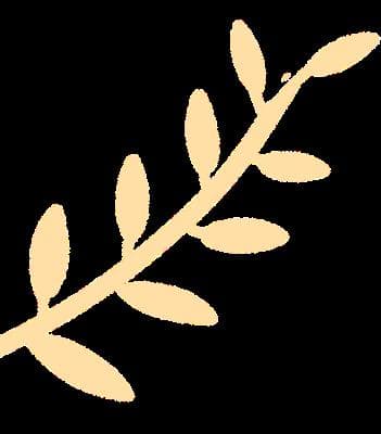 肩膀疼，肩周炎 or 肩袖损伤？核磁助您来鉴别