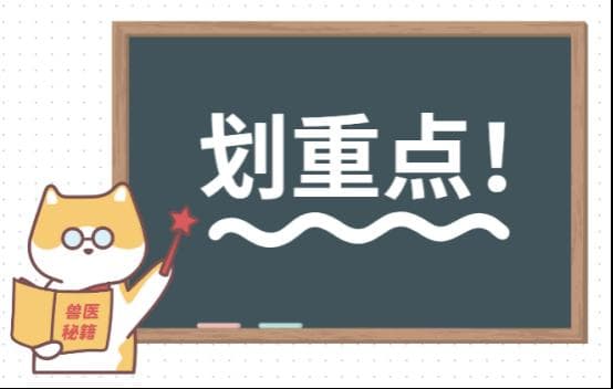 适合猫用的眼药水有哪些？新手必看！猫咪眼药水推荐！