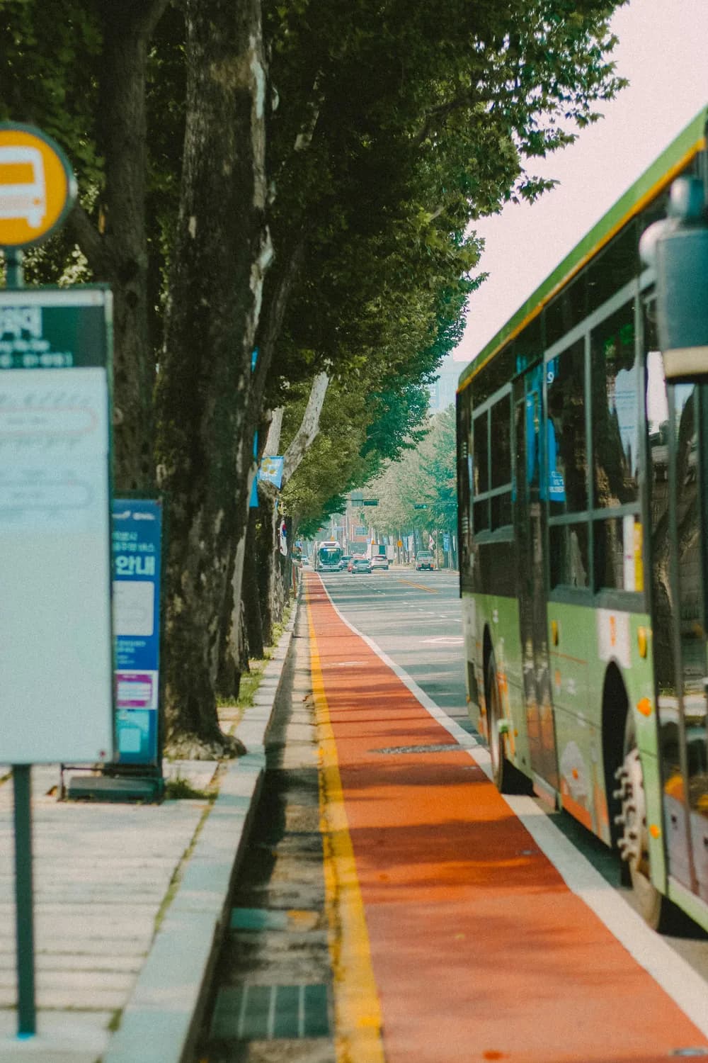 自动驾驶技术：城市公共交通的未来之路