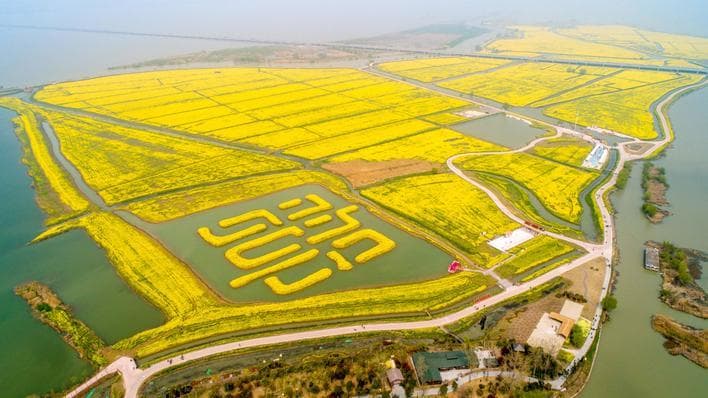 文旅出圈 城市出彩 高邮交出文旅融合耀眼成绩单