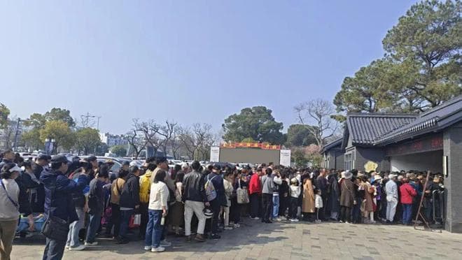 2025年无锡梅园梅花盛放迎客潮：单日游客近5万，梅花品种多样赏花攻略全解析
