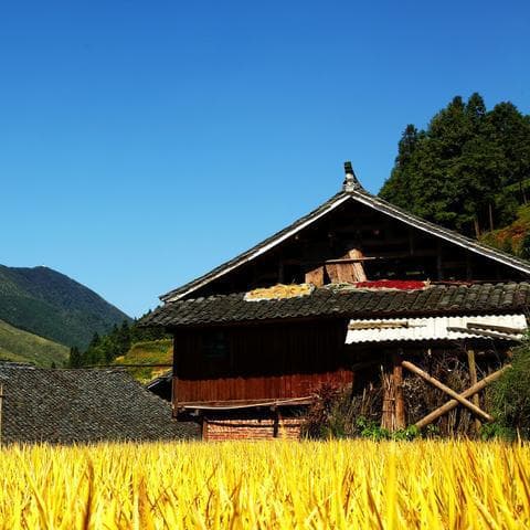 旅游景区，定义、魅力与探索