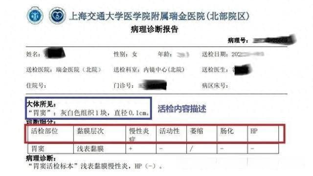 手把手教你读懂胃镜病理报告