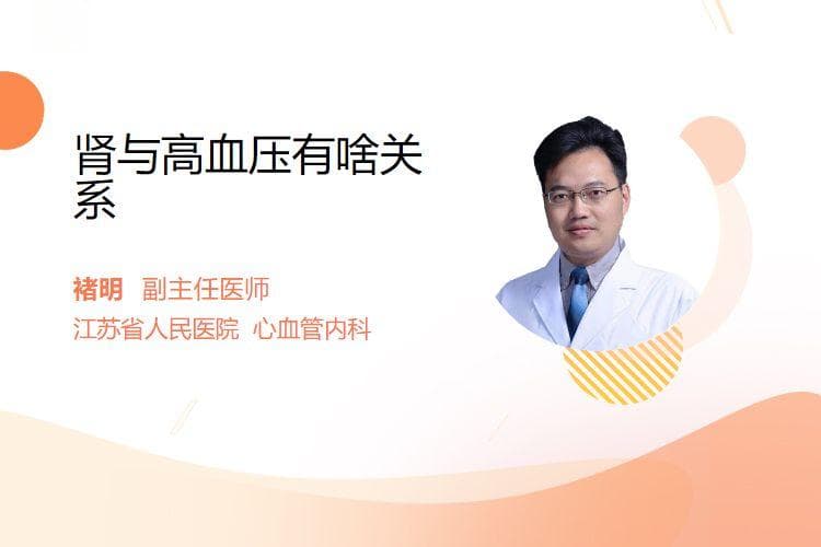 肾与高血压的关系