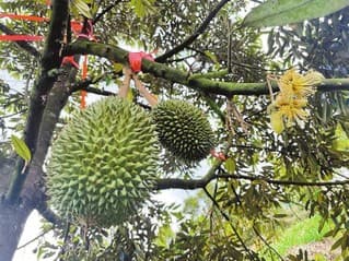 郑和的足迹 无穷的力量