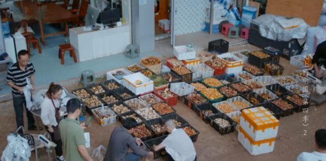 云南3地登上“舌尖4”，这些美食藏不住了