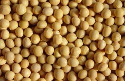 如何理解期货大豆的价格波动？这种波动对农业产业有哪些影响？
