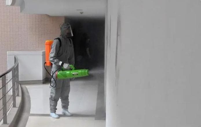 四害消杀全攻略：让家人远离虫害侵扰
