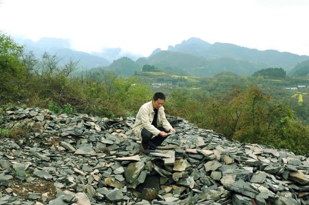 中国科学家发现5.5亿年前海绵化石，登上Nature！