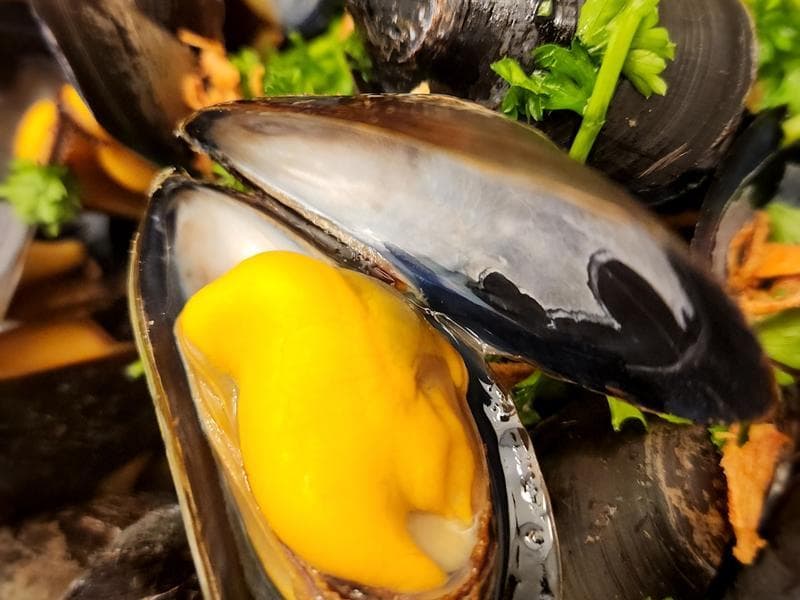 白葡萄酒煮青口（Moules Marinières）：来自欧洲的经典海鲜烹饪法