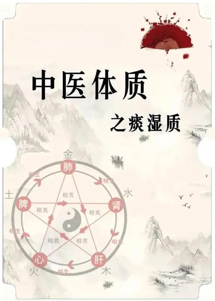 痰湿体质：症状表现与改善方案