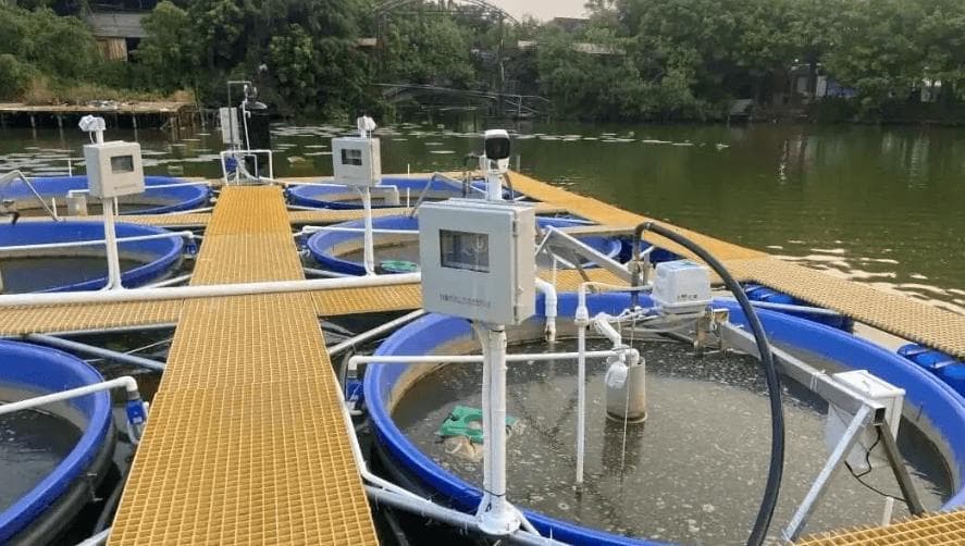 掌握增氧机的科学操作要点，水产养殖户的必备知识