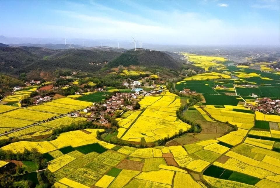 花漾湖北 | 春日限定！湖北绝美油菜花海鉴赏攻略来了