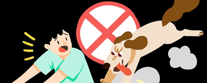 死亡率几乎100%，疫苗也无法保证阻断……关于狂犬病，你需要知道这些