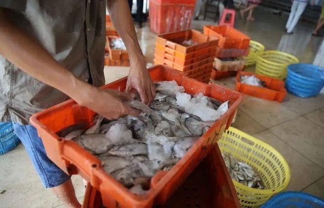 日本计划排放核污染水引发全球关注