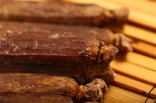 力参的功效与作用