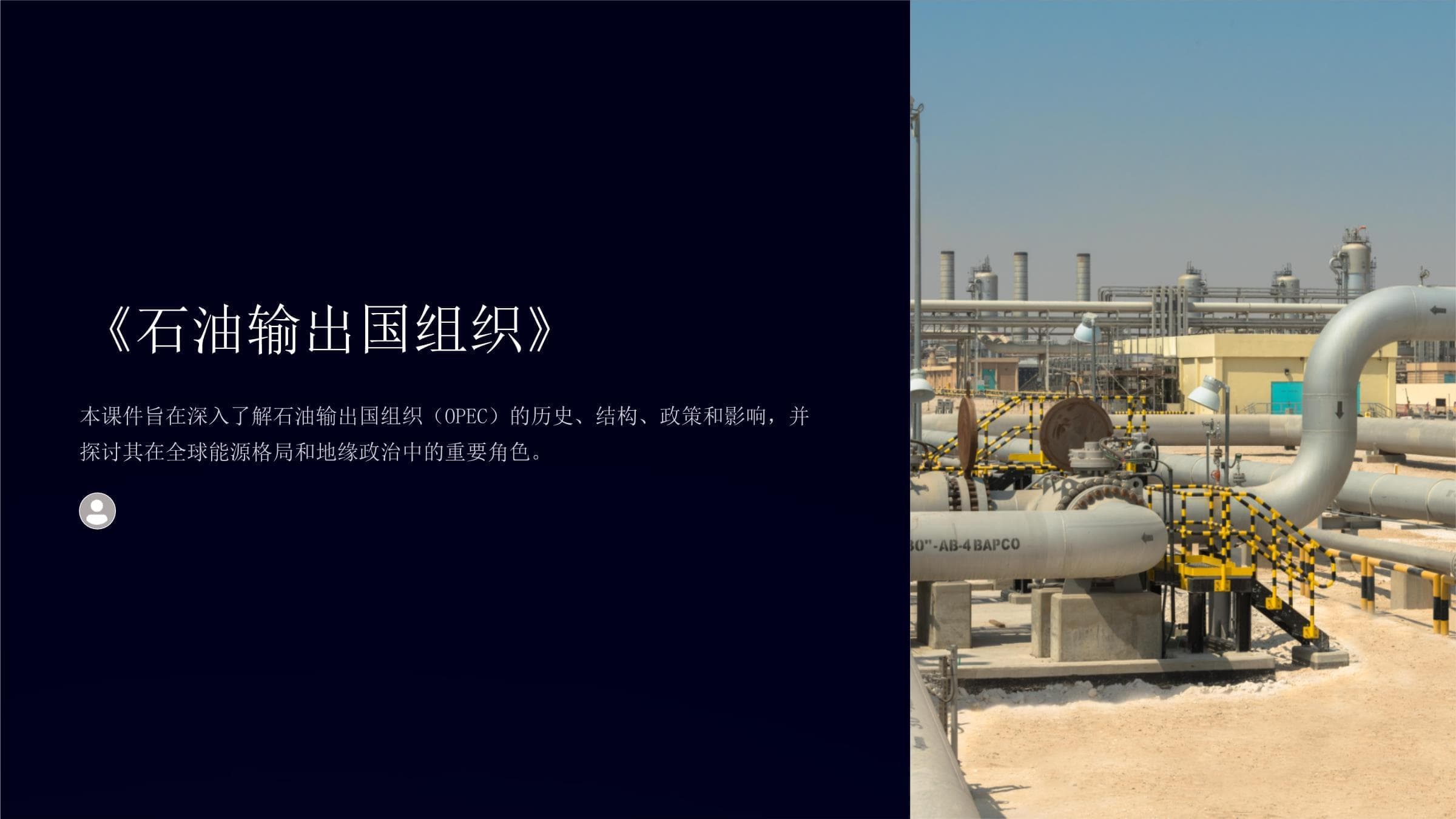 石油输出国组织（OPEC）：历史、结构与全球影响