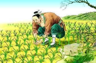 成语“揠苗助长”出自哪里？其中又有哪些历史典故呢？
