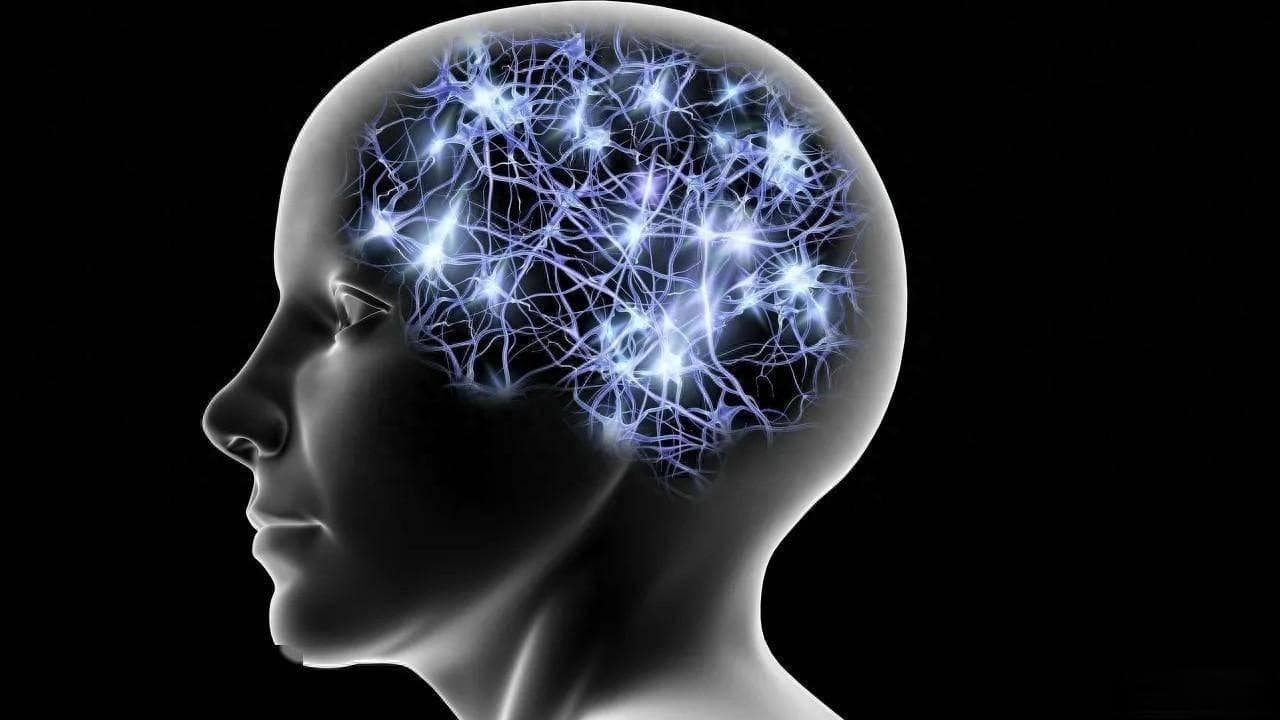 明明是高等生物，人类生理结构却有很多不合理，为什么？涨知识了