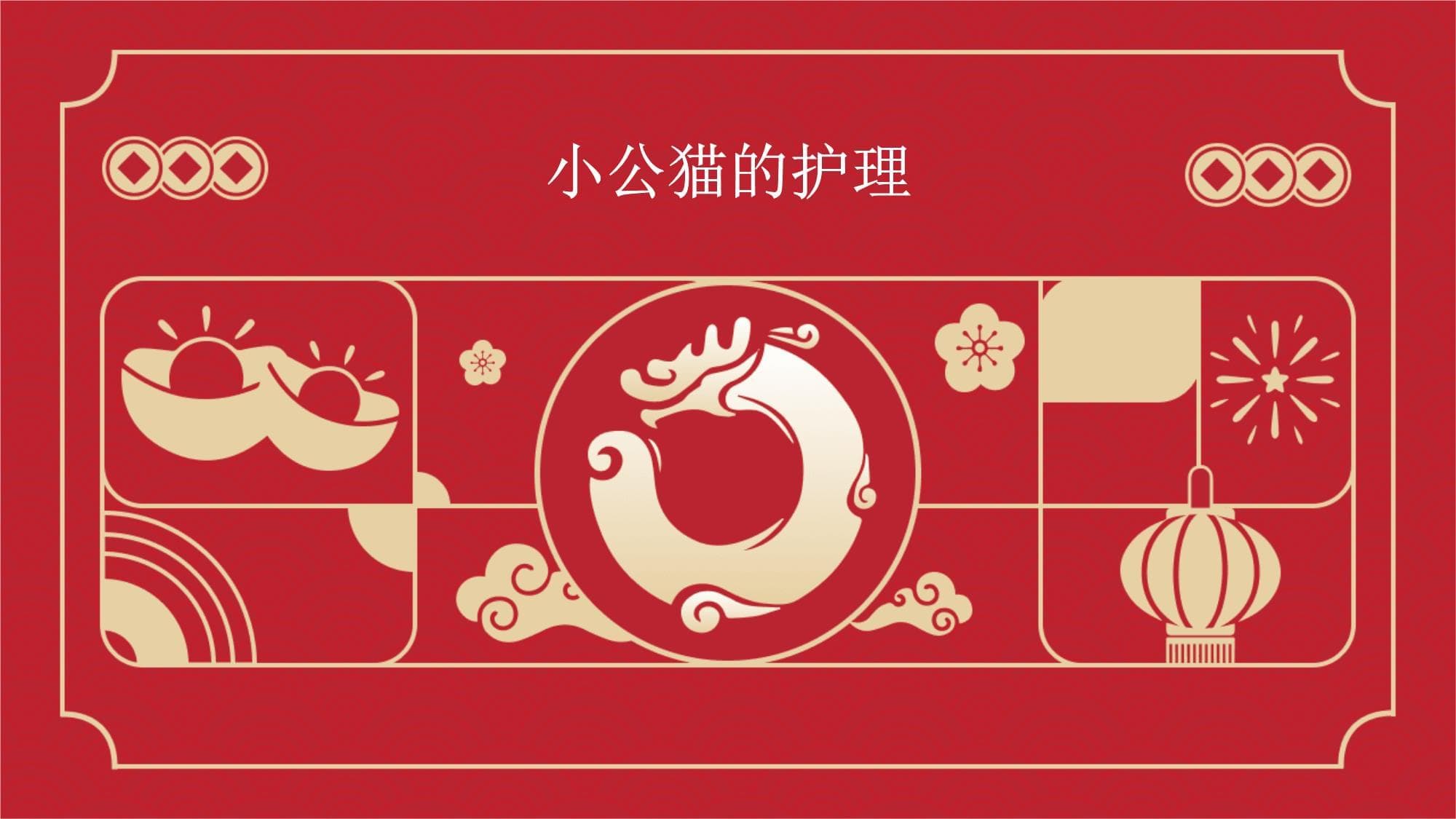 小公猫的护理指南
