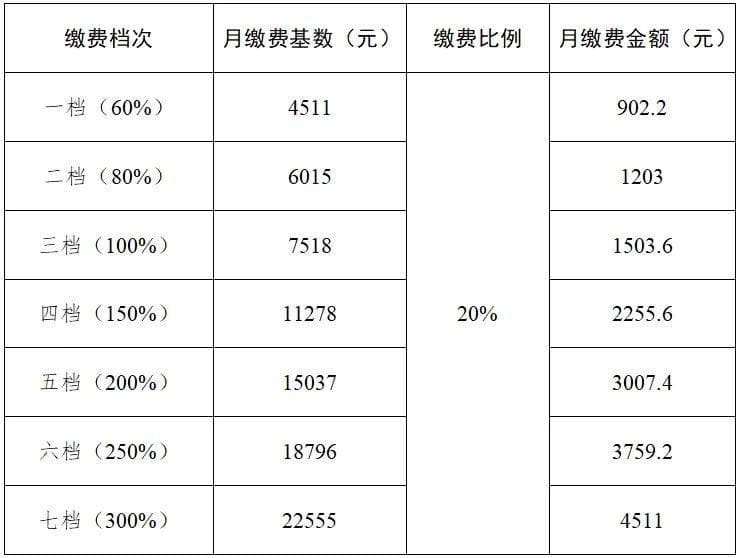 2024年度成都社保缴费最新基数+标准(职工+个人)