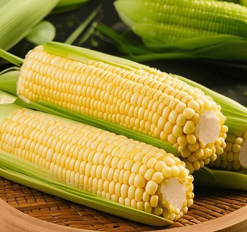 甜玉米、糯玉米热量差1倍？夏天到了，到底哪种玉米更适合减脂？