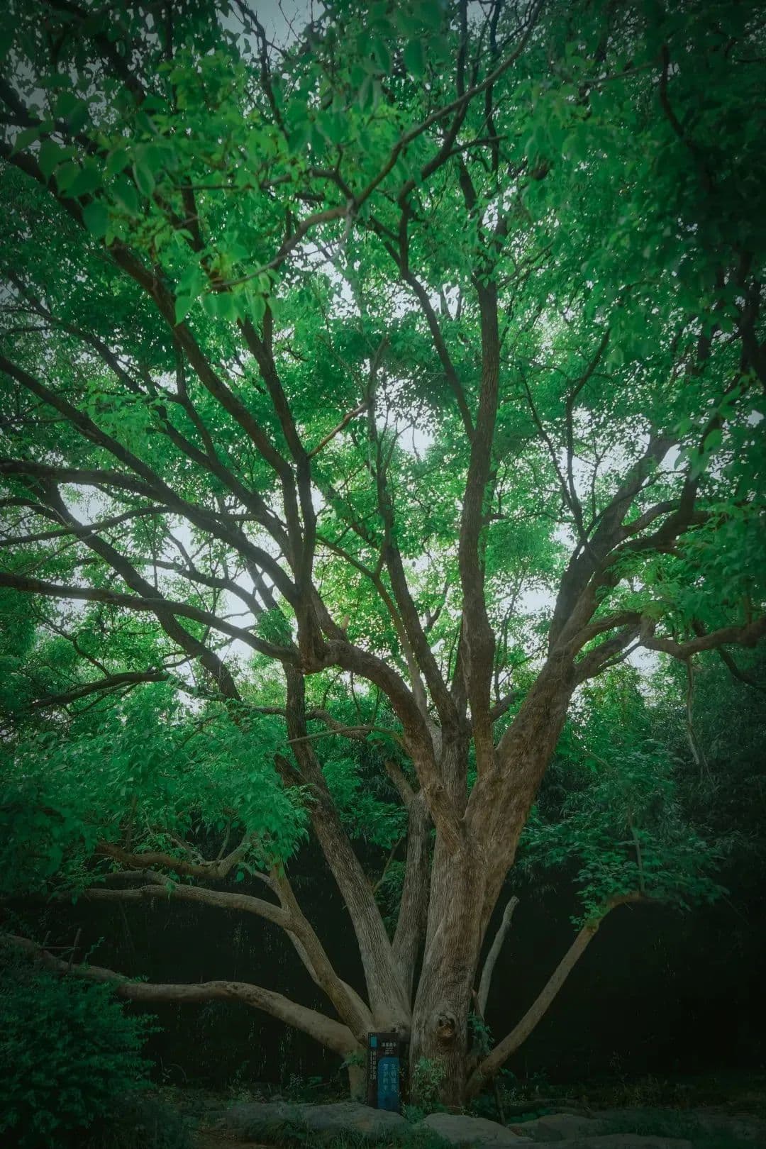 提速！徐州在好风景里布局“可持续”！