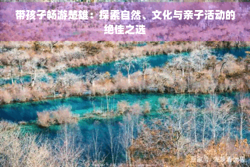 带孩子畅游楚雄：探索自然、文化与亲子活动的绝佳之选
