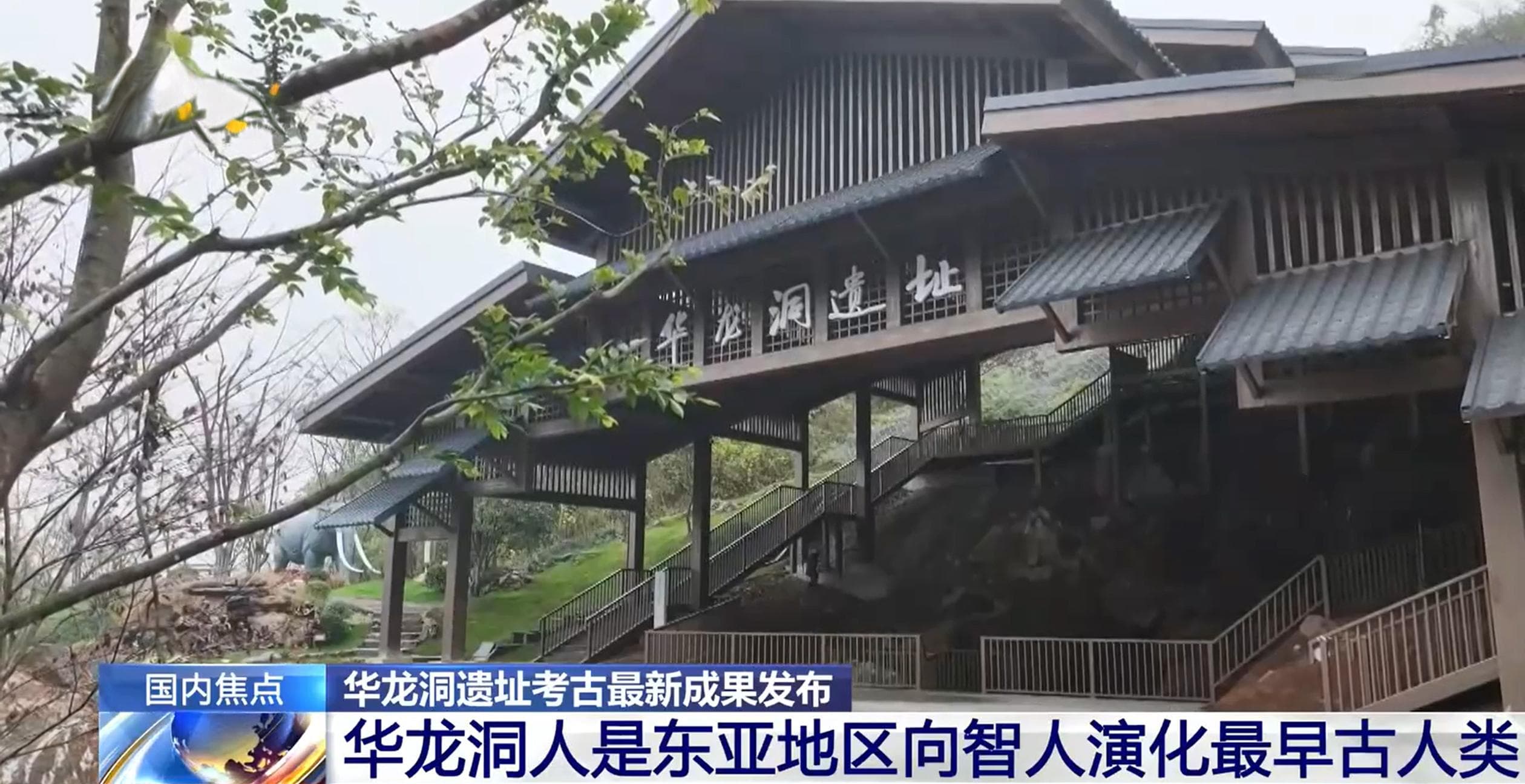 30万年前的古人类喜欢吃什么？动物化石出土揭示华龙洞人食谱