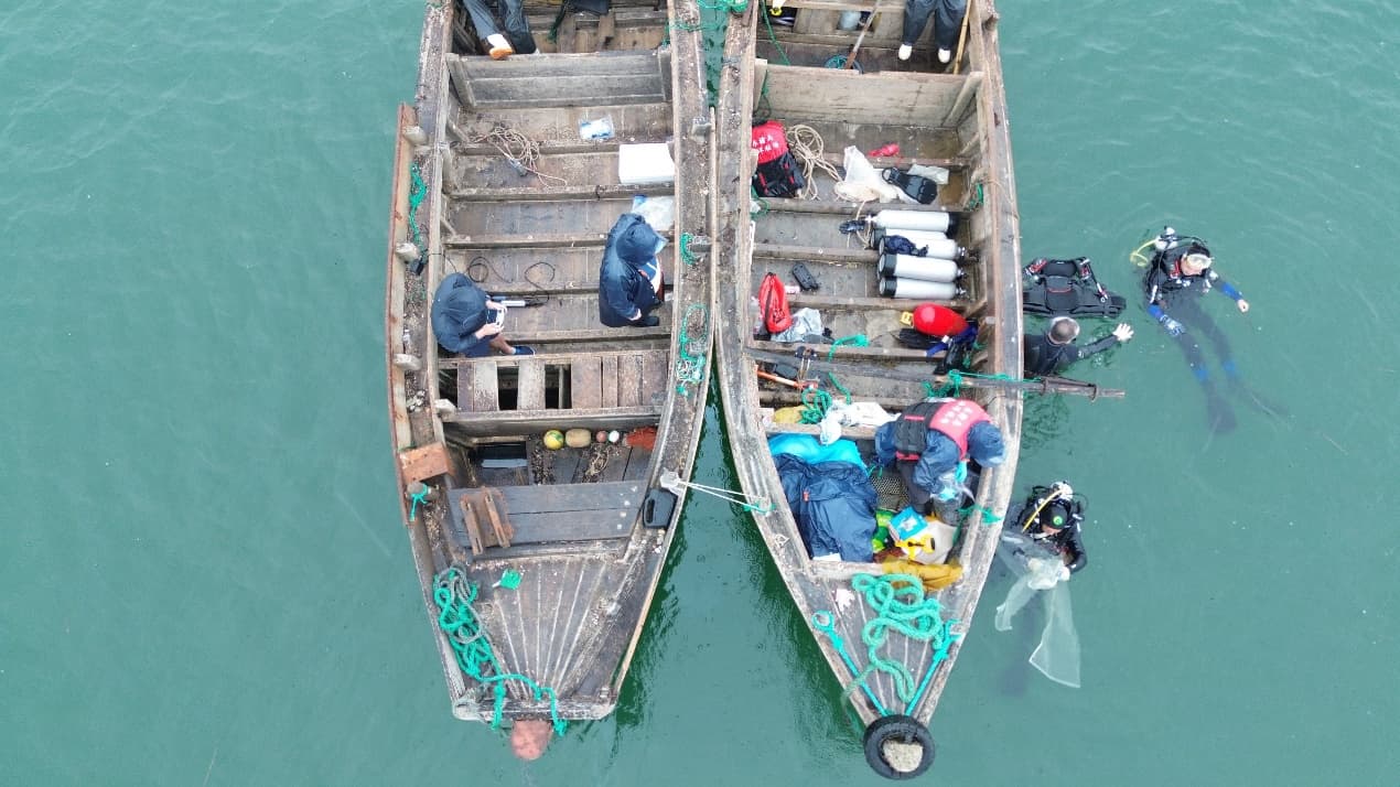 守护“海底草原”：破局中国海草床生态保护与修复
