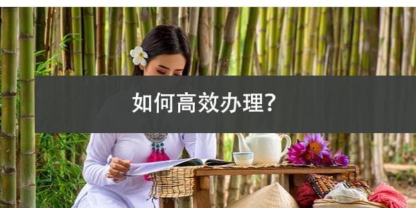 天津市大学生档案去向查询流程,如何高效办理？