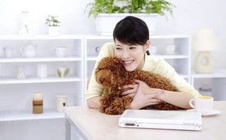宠物抓伤处理方法指南