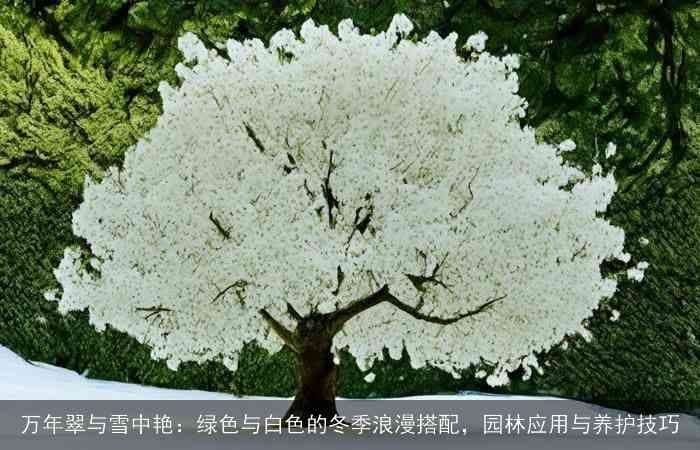 万年翠与雪中艳：绿色与白色的冬季浪漫搭配，园林应用与养护技巧
