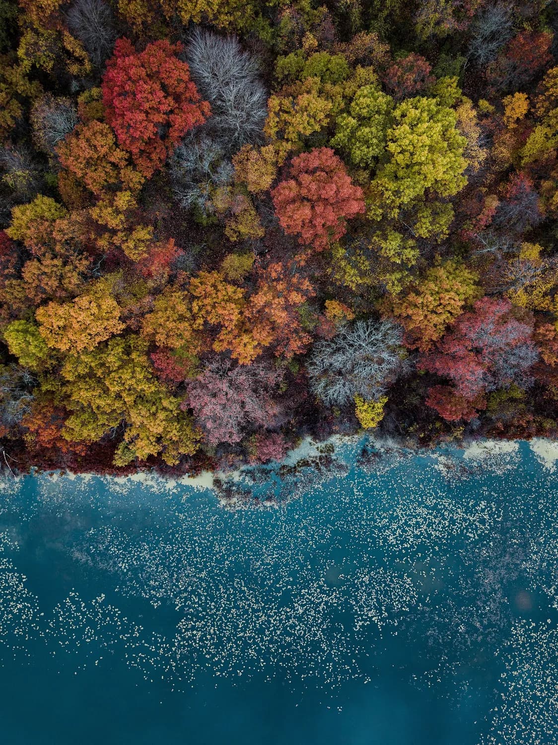 杭州青山湖：水上森林里的治愈之旅