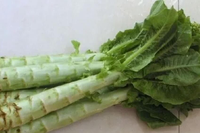 油麦菜和莴笋叶的区别有哪些？味道一样吗？