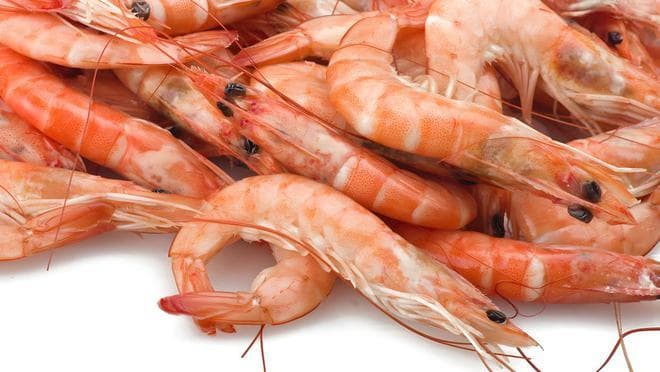 海虾VS淡水虾：从生物学特性到烹饪技巧的全面解析