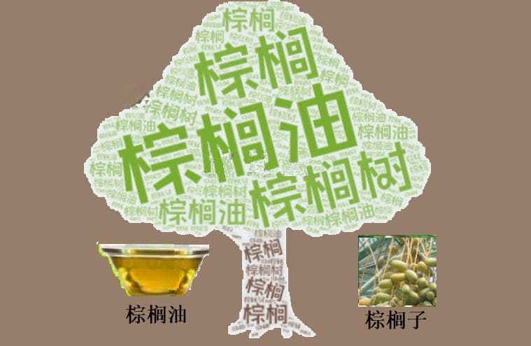 棕榈油期货市场分析：供应担忧推动价格连涨五日