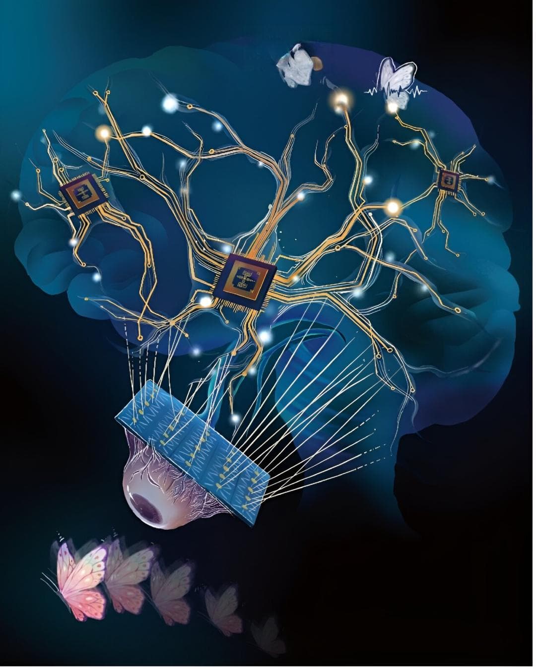 类脑计算模型登Nature子刊：受大脑启发的人工树突网络，实现高能效AI