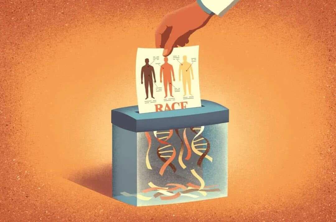 胃酸：人体内的神奇化工厂