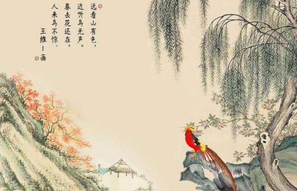 人来鸟不惊 是什么意思