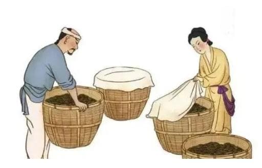 发酵中药在现代医疗中的应用