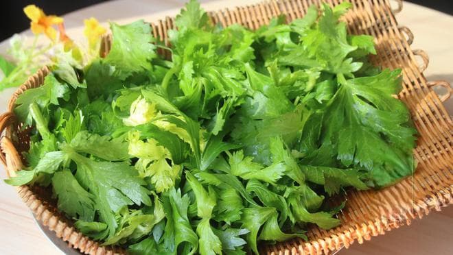 芹菜叶是个宝，学会这样简单蒸一蒸，无水无油，营养健康，真香
