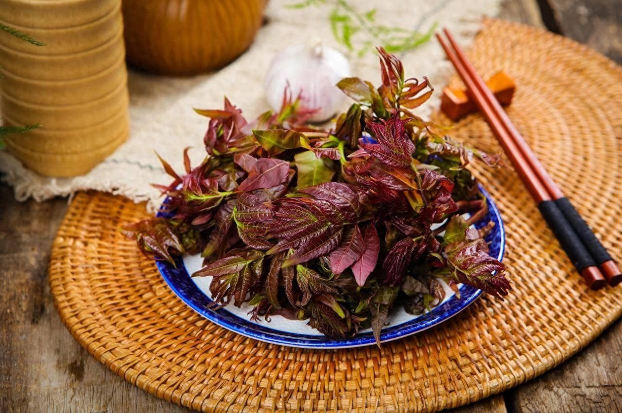 “春芽”虽好 食有门道