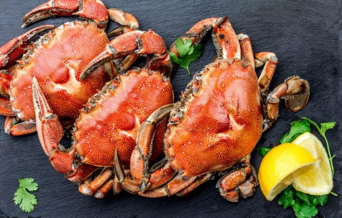 5组食物不宜共同进食能导致中毒，轻则腹泻、消化不良，严重可致命！