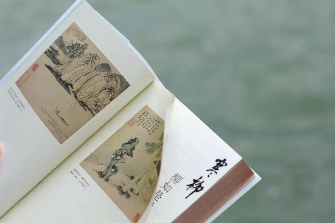 乱世佳人柳如是：被遮敝的人间清醒