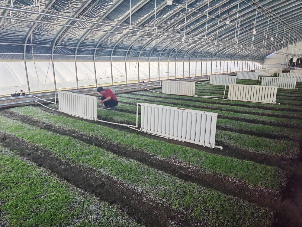 甘肃加强种质资源保护 繁育更多好药材