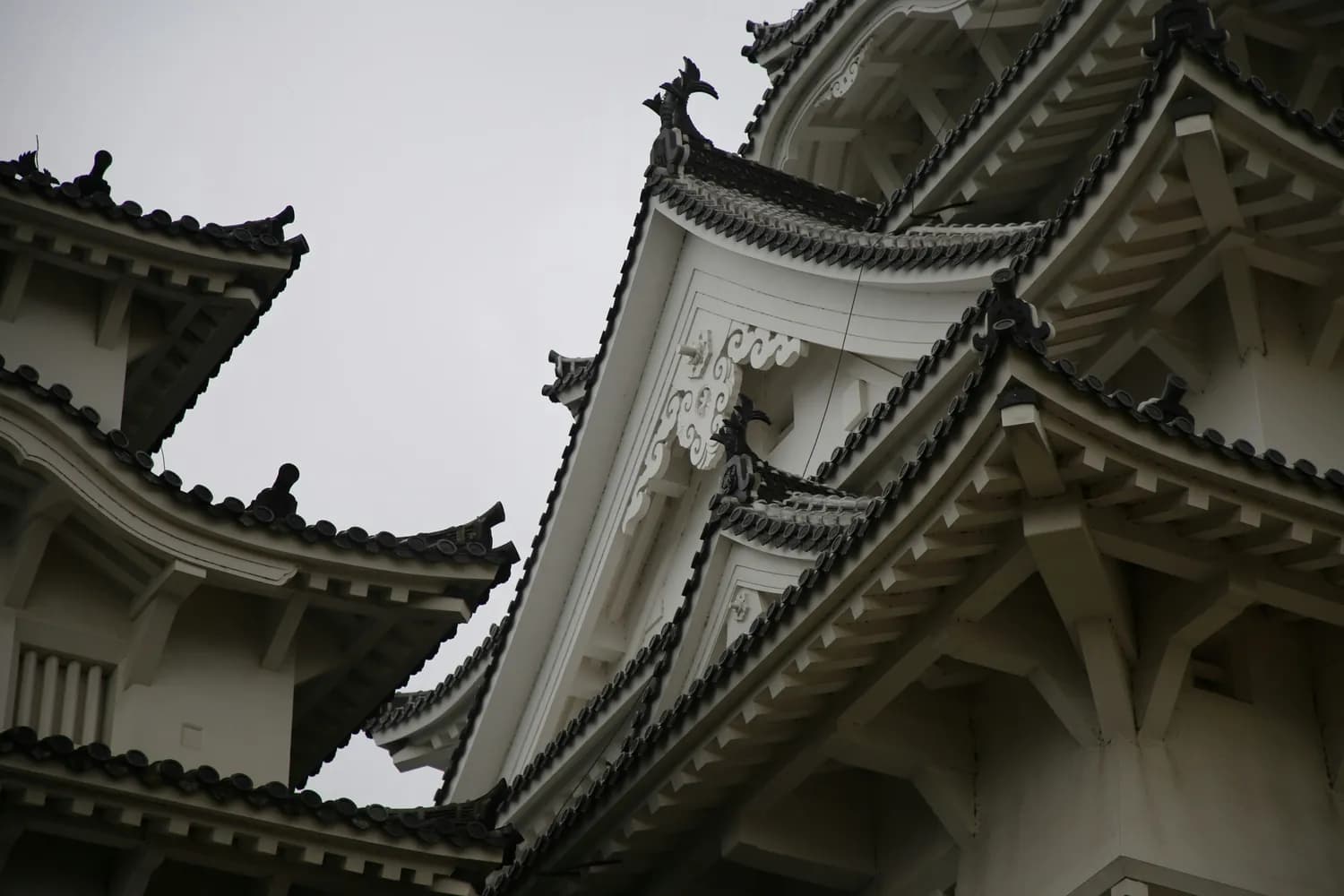 三国志战略版新作上线：经典军事战略再升级！