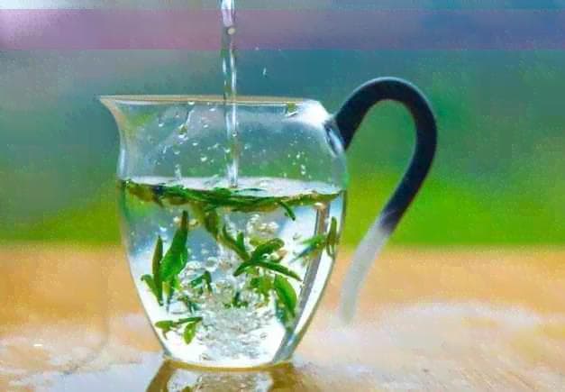 探究普洱茶与黑茶的区别：从安化角度解析普洱的独特之处