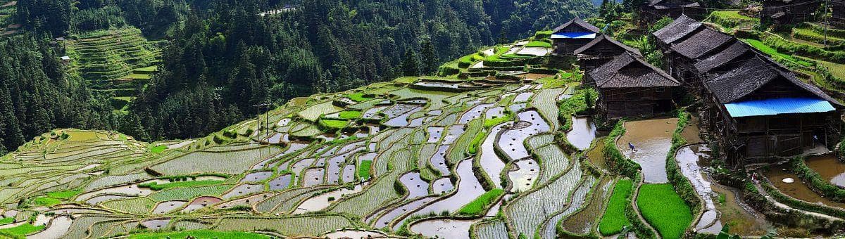 龙胜探秘：入冬美食与绝美景点的双重盛宴，不可错过的旅游全攻略