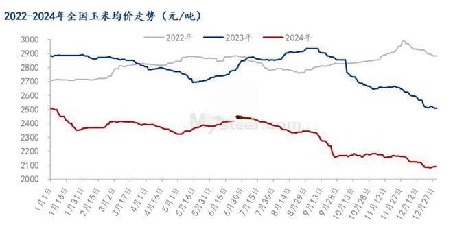 Mysteel年报：2024年国内玉米市场回顾与2025年展望